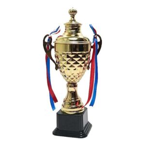 ArtRight Memento Trophy for Best Mom/Best Dad/Best Teacher - Multipurpose Gold Winner Trophy for Corporate & Office Events ; Best Father Award for Dads…