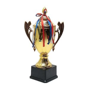 ArtRight 007 Trophy for Cricket | Cricket Cup Trophy Big Size (Winners Trophy) ; Award for Best Cricketer…