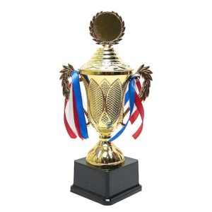 ArtRight Yin Yang Trophy for Winners - Winner Prize Trophy for Best Sportsman ; Shiny Award with Badge for Winners…