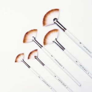 Artright Fan Paint Brush Set of  - Exclusive Black Bristles, Easy Grip - (#2, #4, #6, #8, #10) : Whimsical White Edition