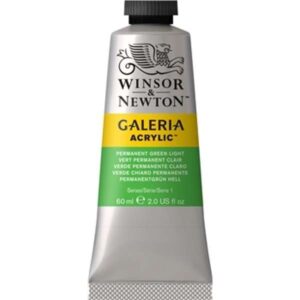 Winsor & Newton Galeria Acrylic Colour 60ml Permanent Green Light
