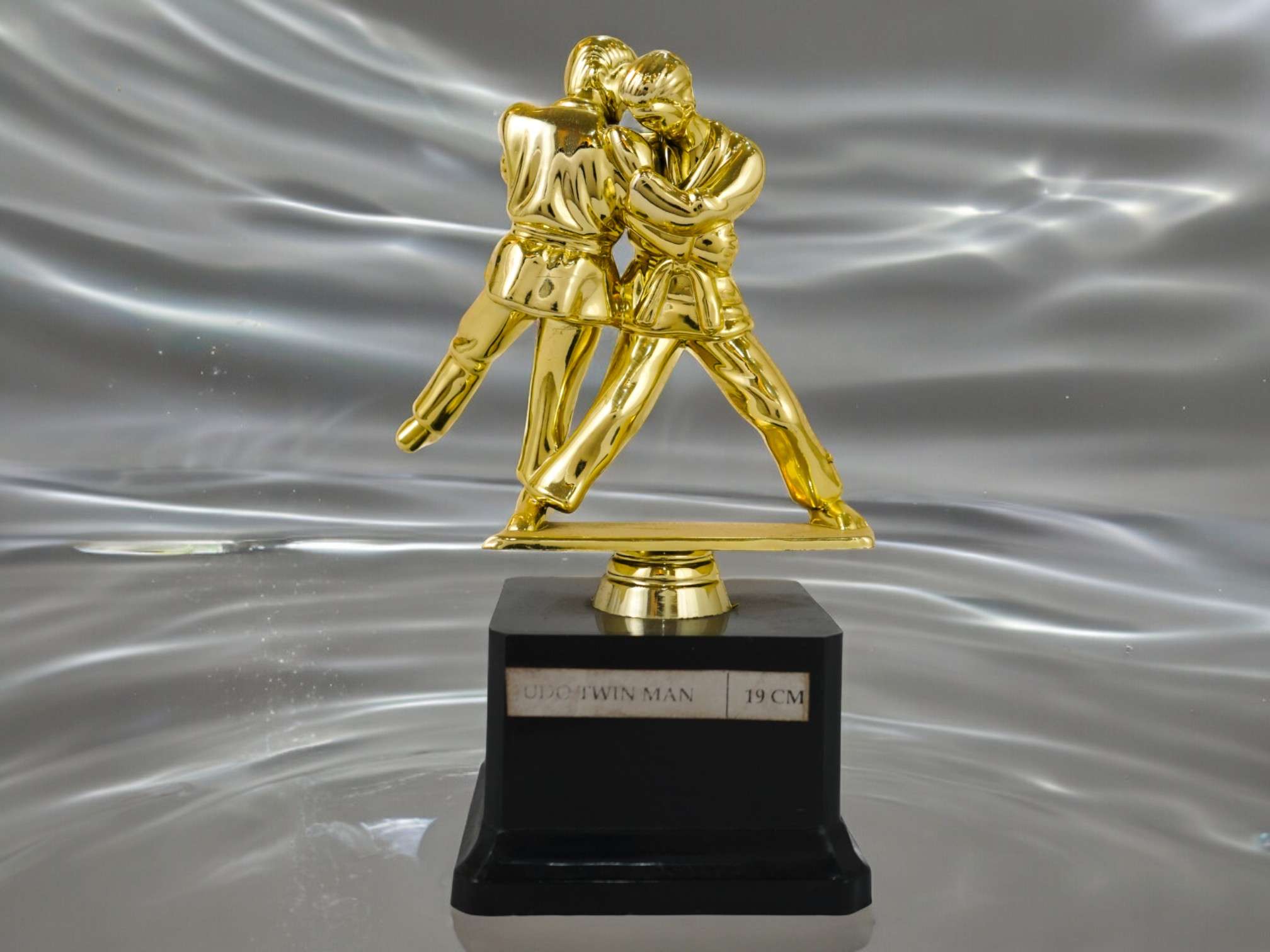 JUDO TWIN MEN Metallic Fiber Trophies