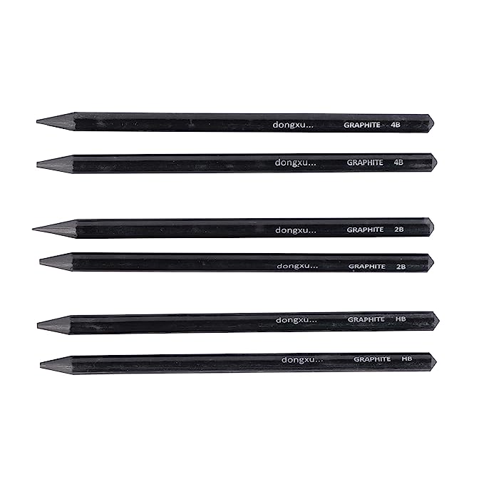 ArtRight Set of 6 Professional Woodless Graphite Sketch Pencils for  Shading, Blending, and Drawing – Includes 2 HB, 2 2B, and 2 4B Pencils-  Ideal for Artists, Professionals, and Students… – Best