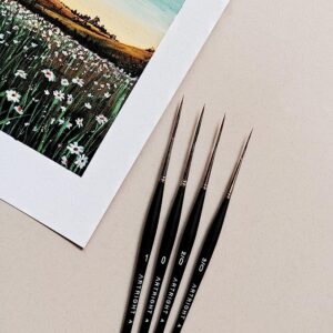 ArtRight Artists' Paint Brushes Combo of Fine-Tip Liner Brushes (4 pcs) & Mop Paintbrushes (4 pcs) ; 8 pcs Mop & Liner Artist Brushes for Watercolor & Acrylic Painting…