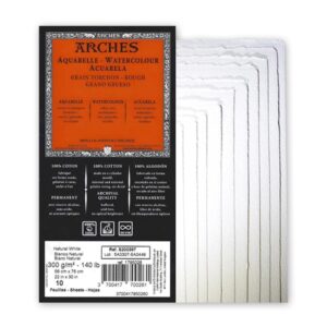 Arches Watercolour Rough Grain ( 4 deckle edges) Pack of 10 Sheets (GSM 300, Size 56 cm x 76 cm)