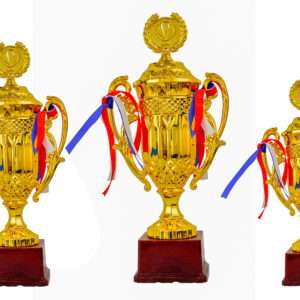 Cinderella Metallic Fiber Trophies