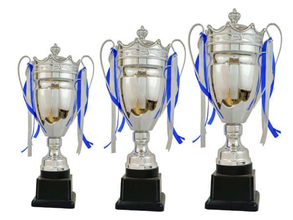 2102 silver Metal Trophies - Image 4