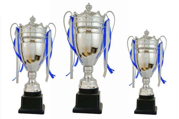 2102 silver Metal Trophies - Image 2