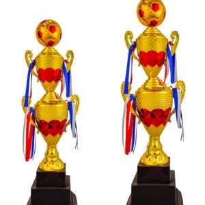 tide jumbo premium Metal Trophies