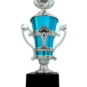 Vikram silver with lid Metallic Fiber Trophies