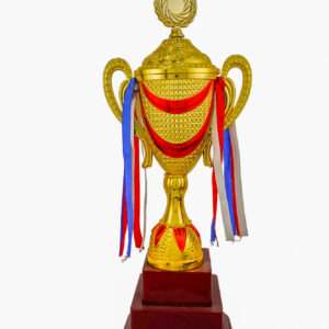 smiley premium Metallic Fiber Trophies