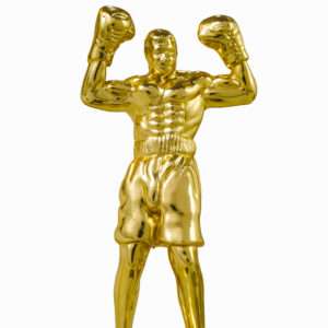 BOXER Metallic Fiber Trophies