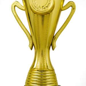 Lotus Cup Gold Metallic Fiber Trophies